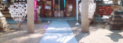 大阪松原市の布忍神社