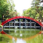住吉大社の太鼓橋の写真