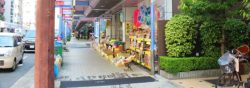 玩具や人形の問屋が並ぶ松屋町筋商店街