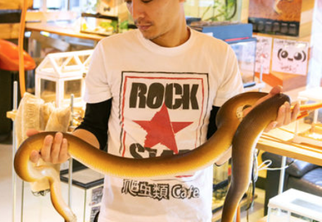 大阪动物主题蛇咖啡屋