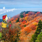 紅葉が綺麗な金剛山で秋のハイキング