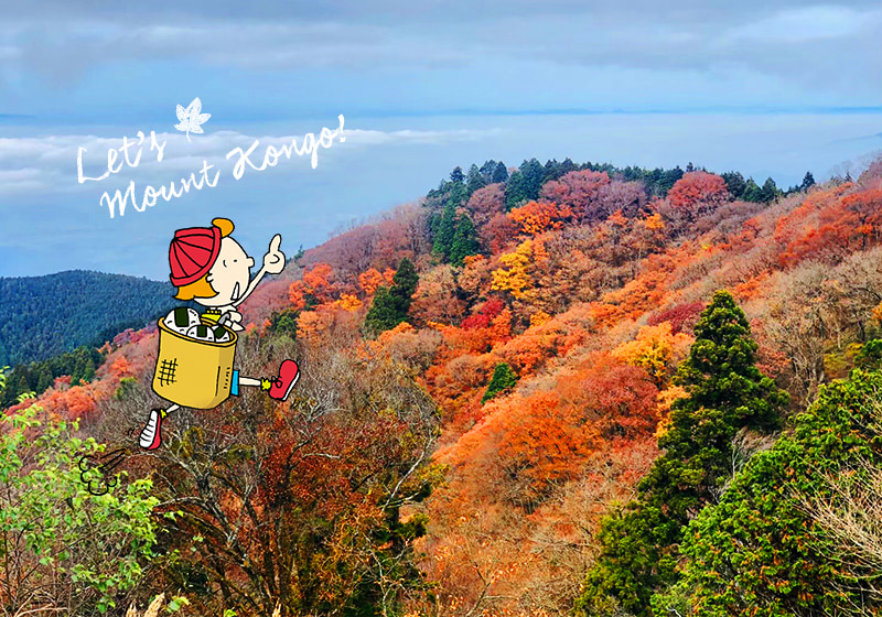 紅葉が綺麗な金剛山で秋のハイキング