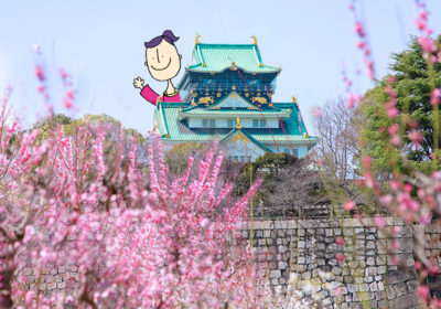 大阪の春を見つけました。大阪城梅林、梅たちが咲き始めました！