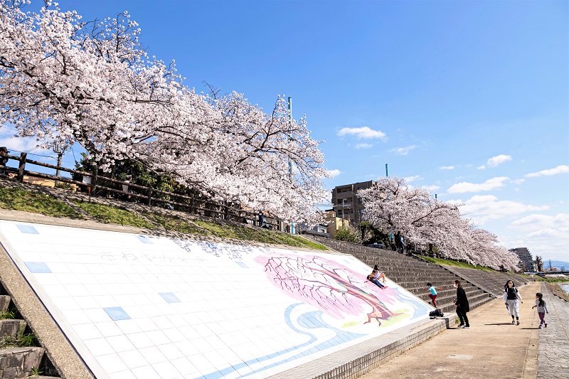 桜シーズンの芥川