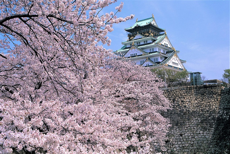 大阪城の天守閣と桜