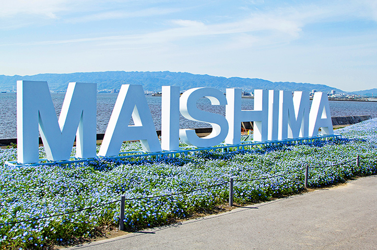 마이시마 네모필라 축제의 MAISHIMA 포토 스팟