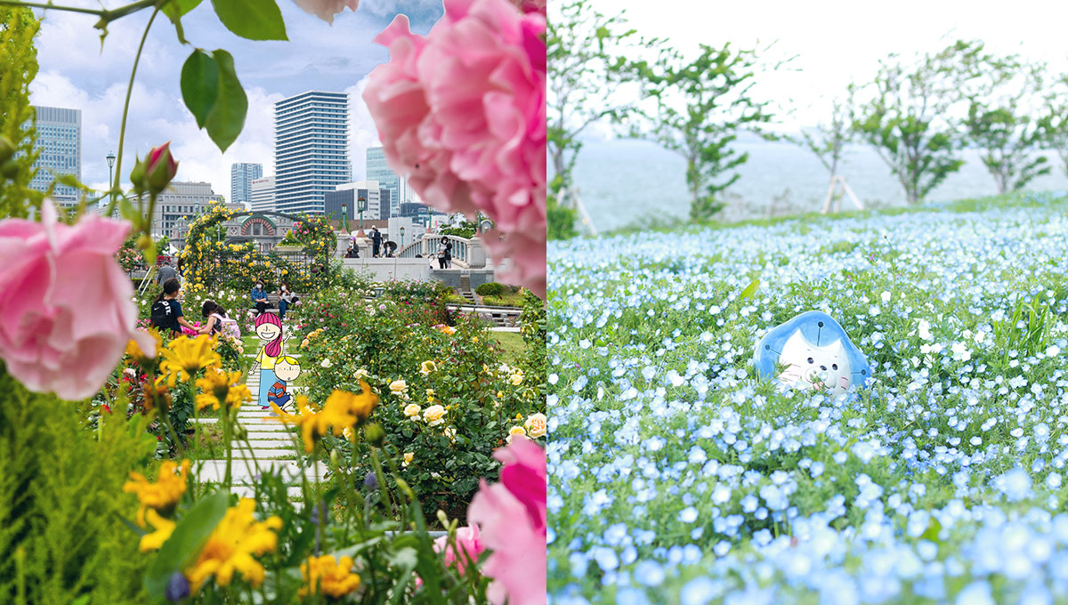 大阪の花景色スポット バラ園や紫陽花など今見頃の春の彩り集めました Maido