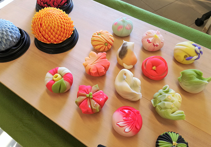Colorful wagashi, delicately molded traditional Japanese sweets in the shapes of a cat, swan, camellia and other seasonal flowers and shapes arranged together