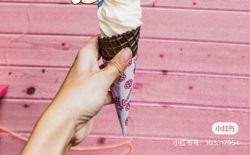 日本奇特冰淇淋