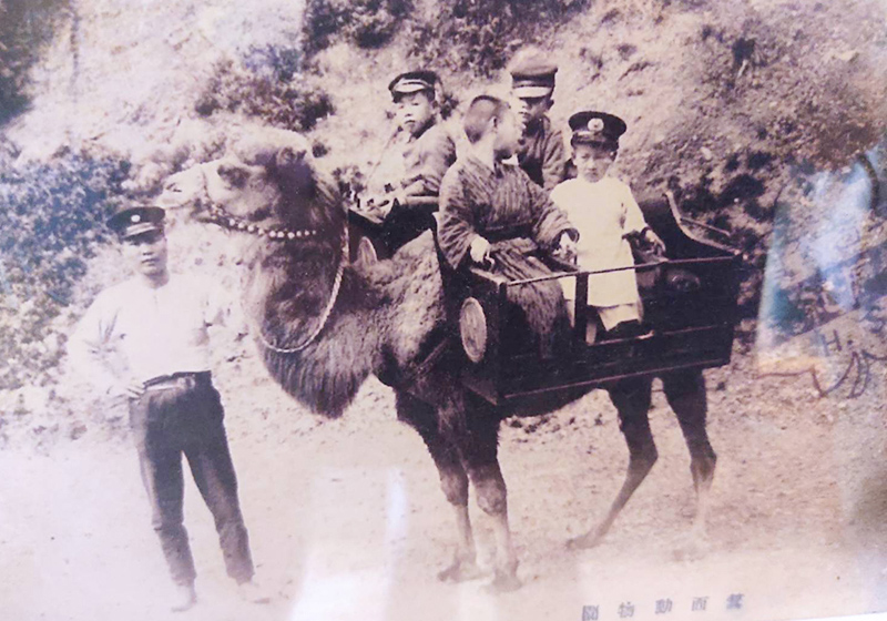 Minoh zoo, children riding camel