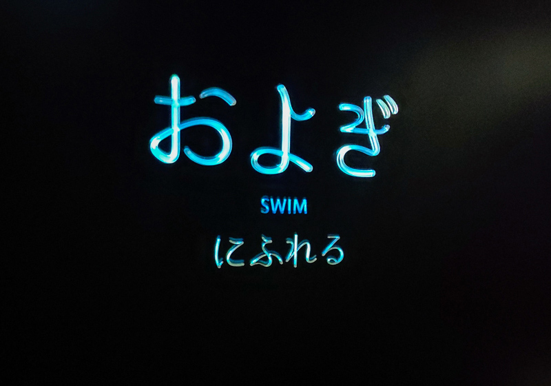Swim zone, Nifrel aquarium, Osaka Japan