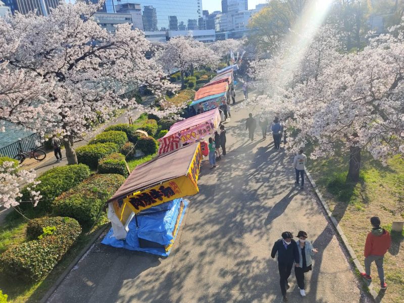 sakuranomiya park cherry blossoms in Osaka