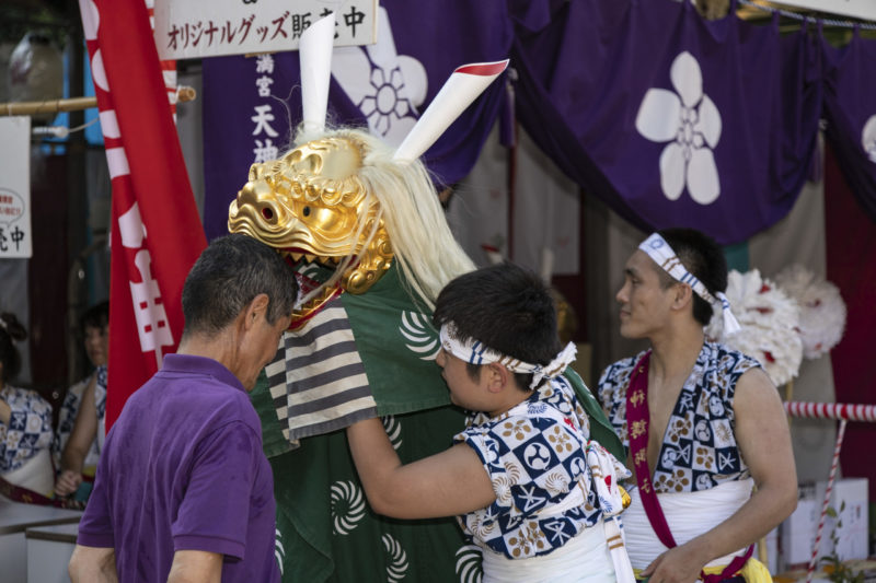 gold lion mask bites head of young man during shishimai lion dance rituals