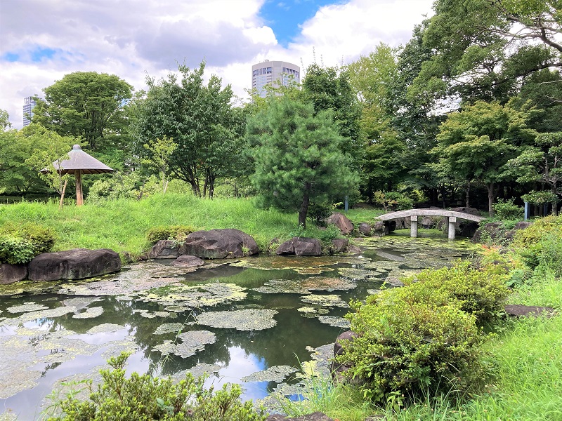 大阪市の名勝に指定されている藤田美術館の日本庭園