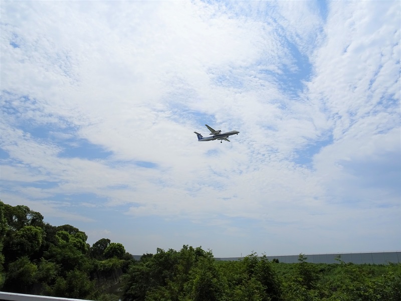千里川土手から見える伊丹空港に着陸する飛行機