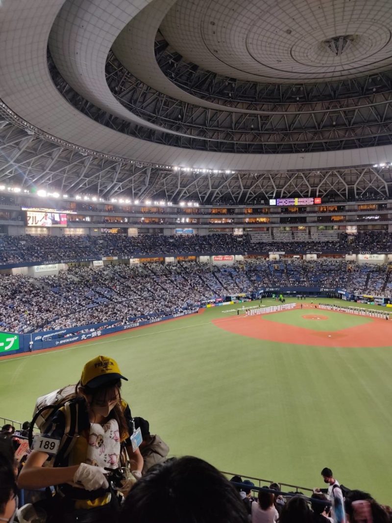 kyocera dome outfield view of Japan Series