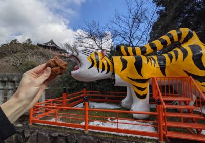 Tigers, Tunnels, & So Much More<br>Day-trip to the Shigisan Temple