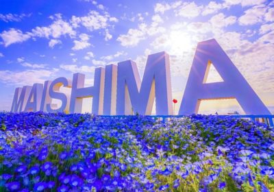 空・海・花が織りなす大阪の絶景スポット！ 春のお楽しみ「ネモフィラ祭り2023」開催決定♪