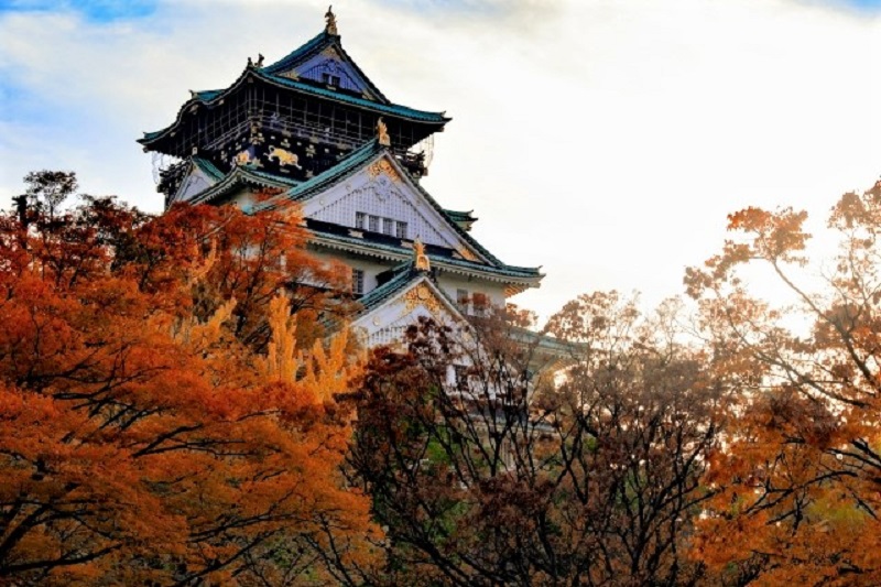 秋の紅葉も美しい大阪城公園