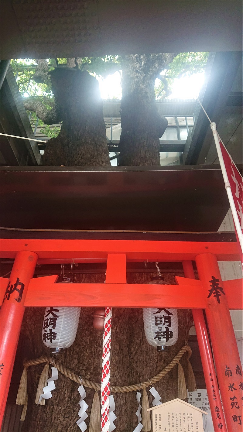 京阪萱島駅の地上にある萱島神社からホームを見上げる