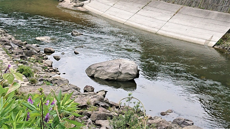 「動くと洪水が起きる」という言い伝えがある亀岩。昭和6~7年の地すべりで右岸側（左）にずれたという