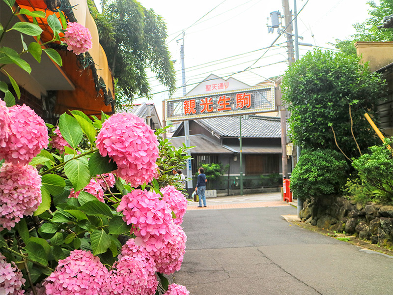 「宝山寺参道」の入口、観光生駒の看板
