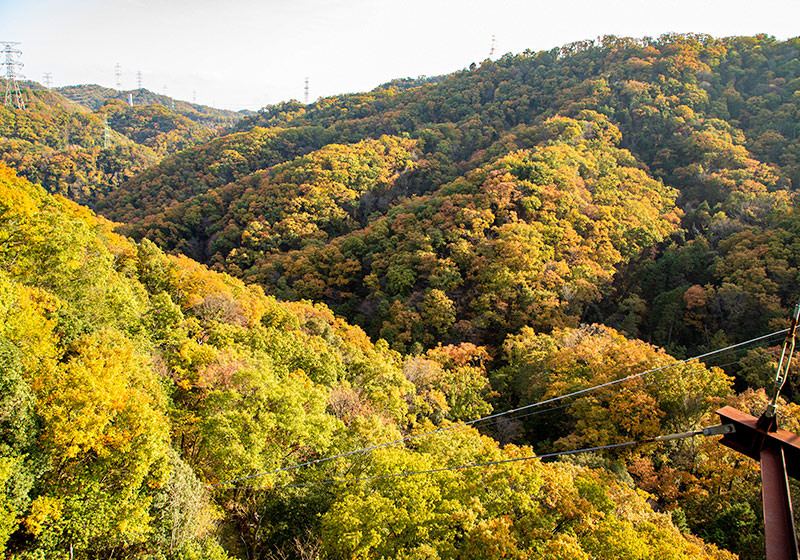 ほしだの森から望む生駒山系の秋