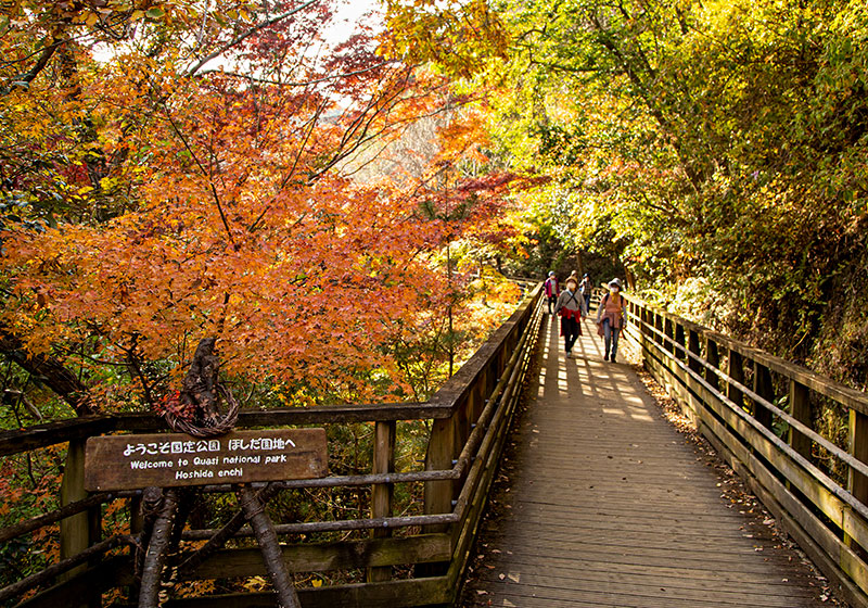 秋のほしだの森は、紅葉に包まれた絶好のハイキングコース