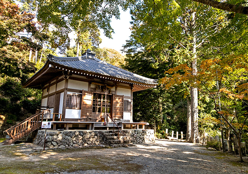 木漏れ日のさす伽藍が、日本文化の美しさを感じさせる