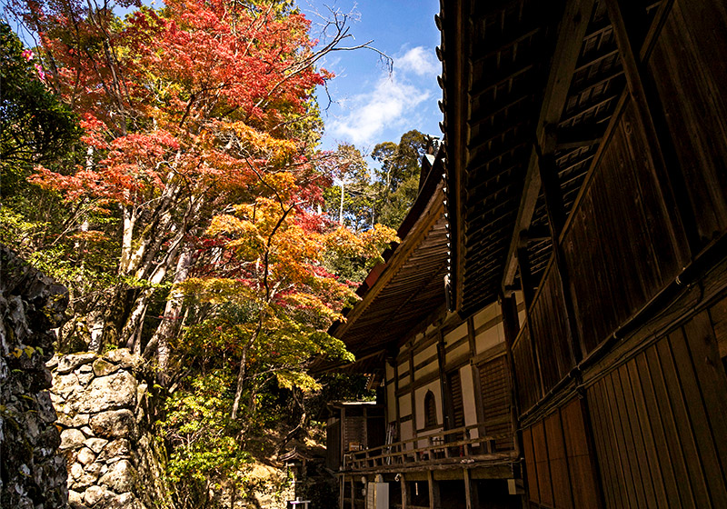 伽藍の裏側にも秋を発見。神峰山寺の紅葉