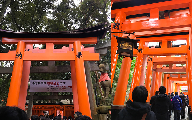 red gates at Fushimi Inari Taisha