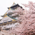 Osaka Castle and cherry blossoms