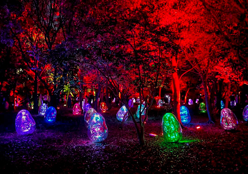 teamLab Botanical Garden light art display
