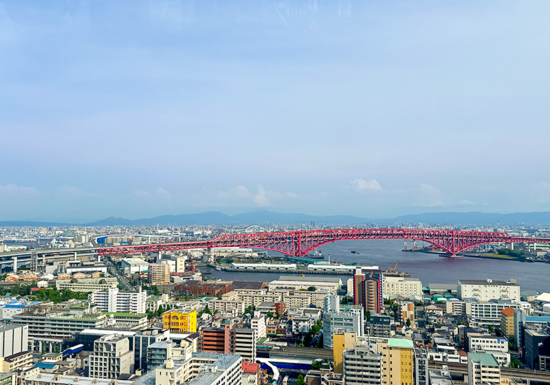 从天保山摩天轮上看到的大阪市景