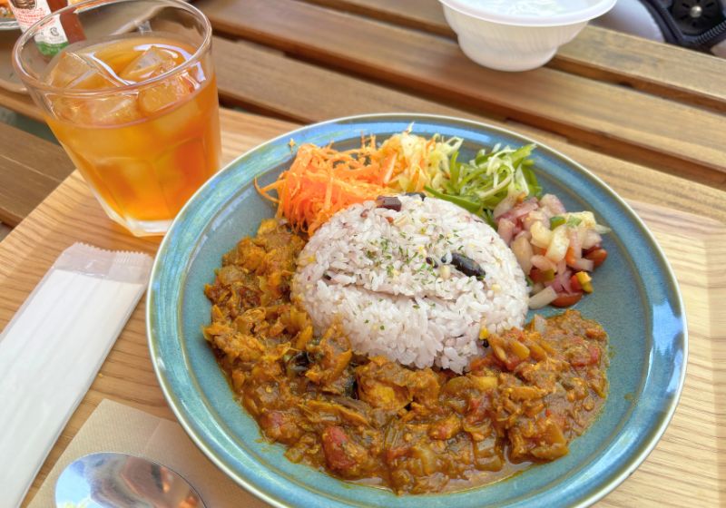 健康-野菜研究所 めばえキッチン 住吉公園店のサバトマトカレー