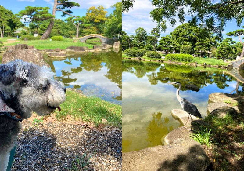 住吉公園内