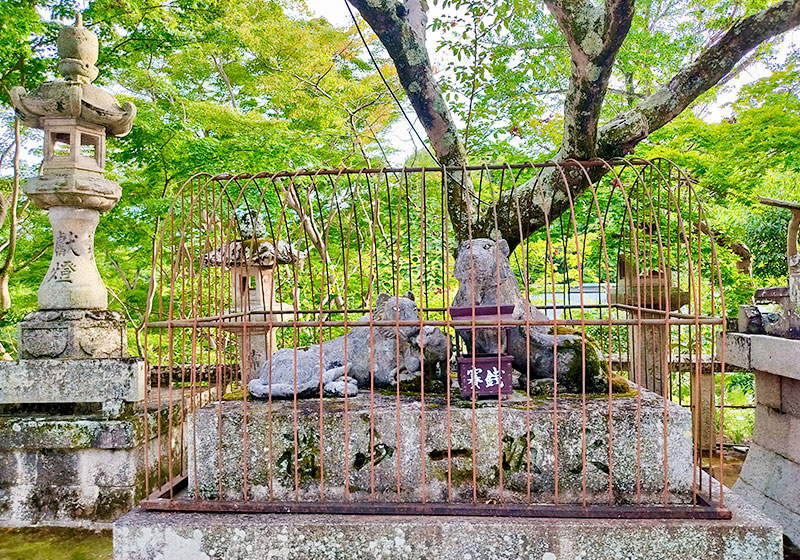 tigers in cages at Shigisan Temple in Nara