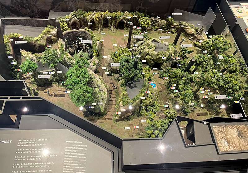 UNKNOWN FORESTの模型