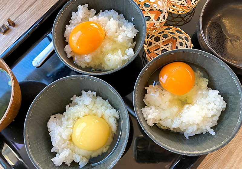 「たまごのたまこ」食べ比べ御前