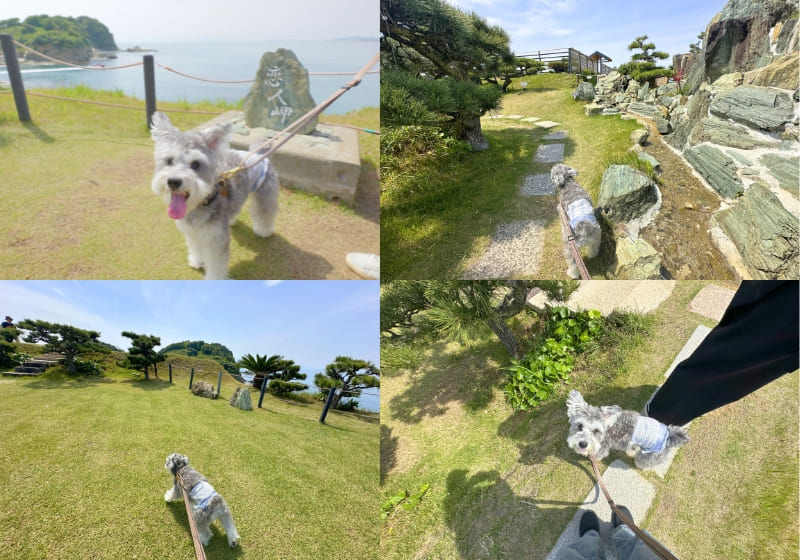 和歌山県・雑賀﨑の番所庭園