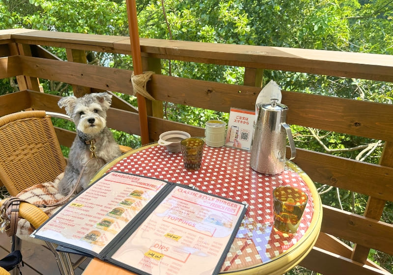 BURGER CHAMBERSのテラス席
