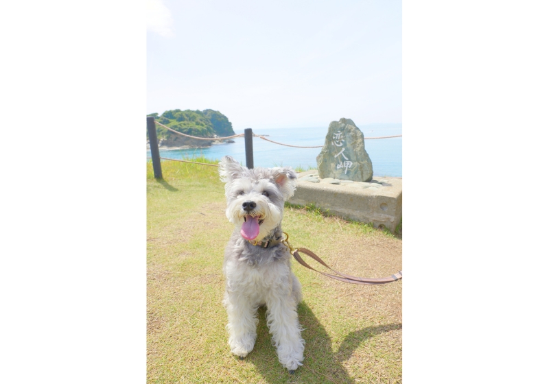 和歌山県・雑賀﨑の番所庭園