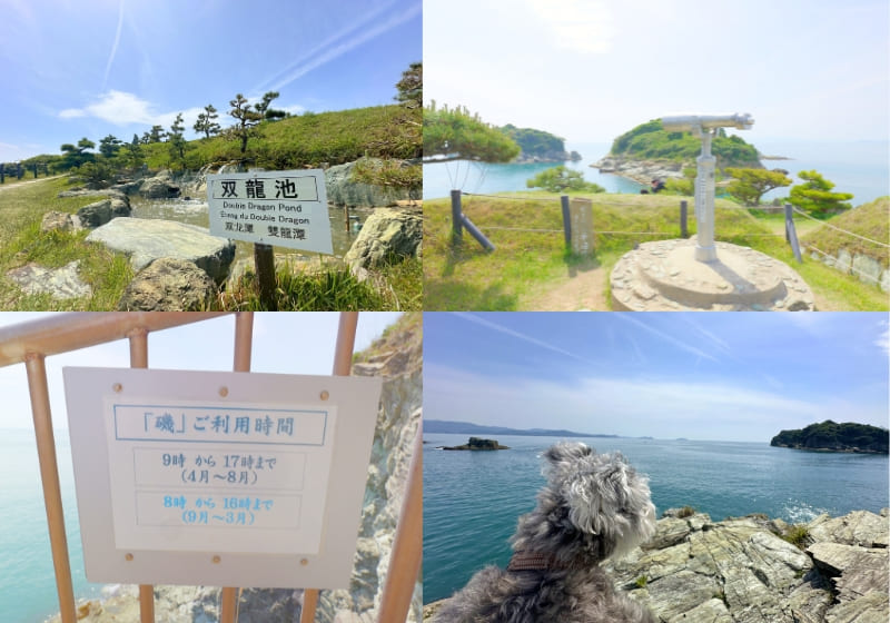 和歌山県・雑賀﨑の番所庭園